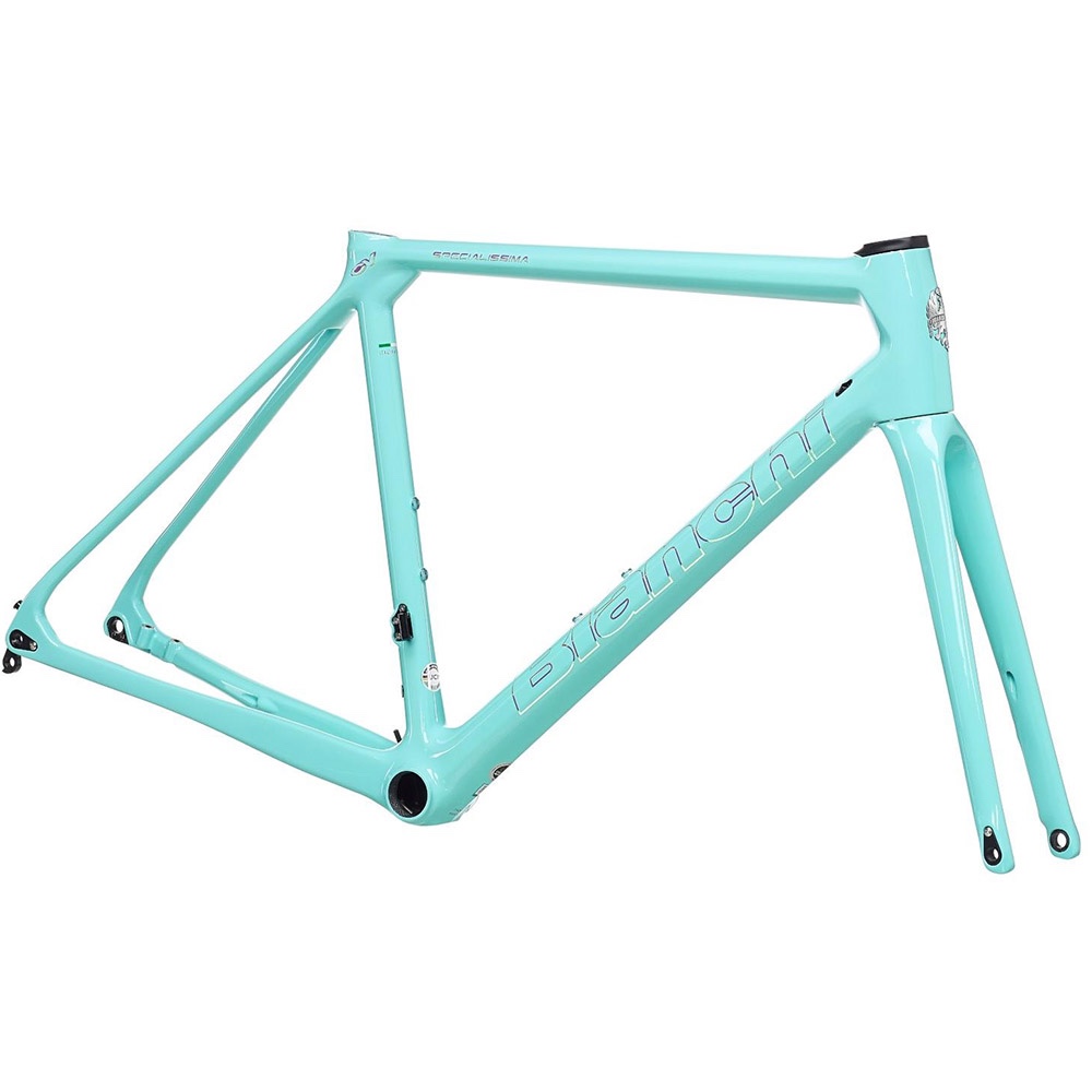 Bianchi Specialissima Disc frameset