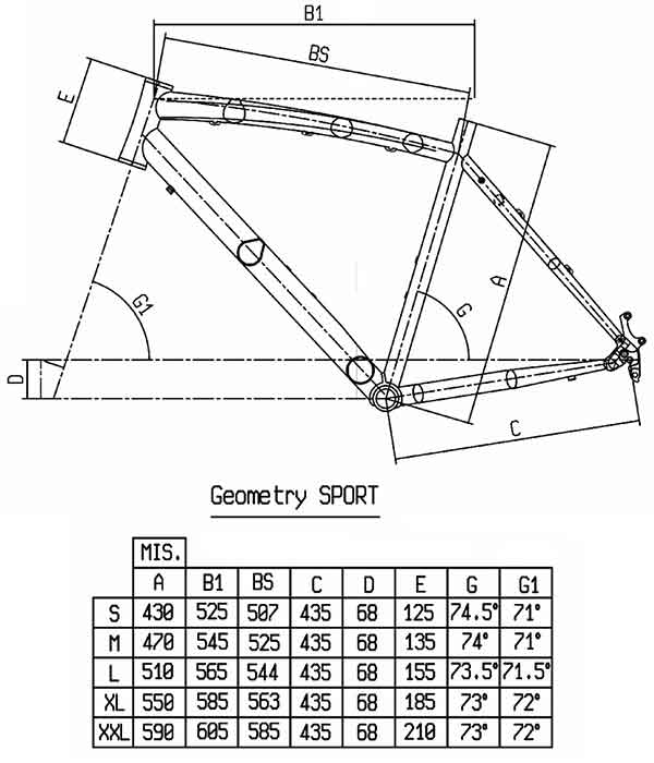Bianchi C Sport Geometry